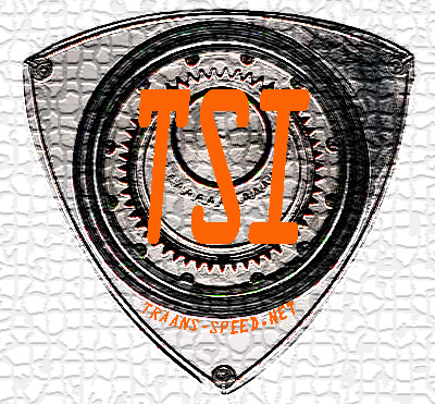 TSI LOGO